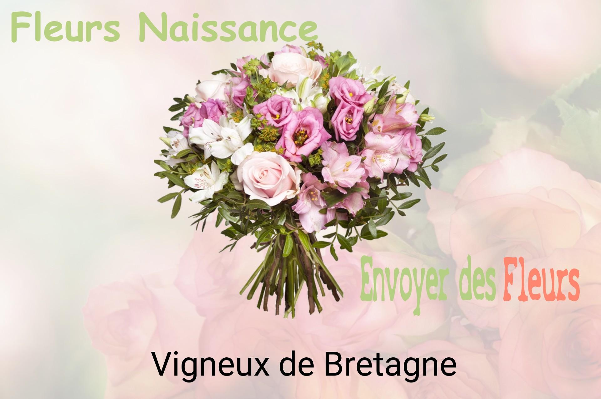 Bouquet de fleurs de naissance livré à Vigneux-de-Bretagne